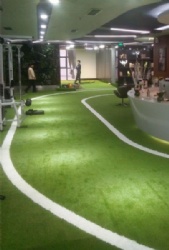 Green Lawn with track