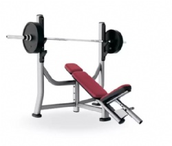 Olympic Incline Bench