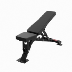 Adjustable Dumbbell Bench