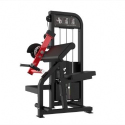 Biceps & Triceps Machine