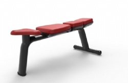 Flat Bench