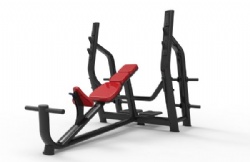 Olympic Incline Bench